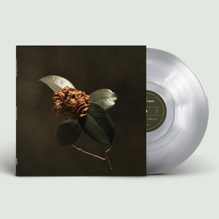 St. Paul & The Broken Bones - Young Sick Camellia