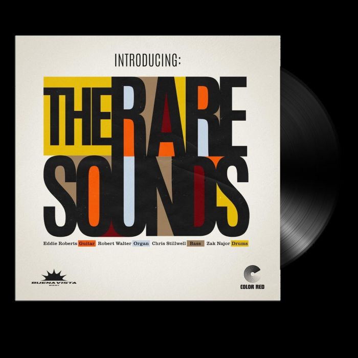 RARE SOUNDS - INTRODUCING: THE RARE SOUNDS
