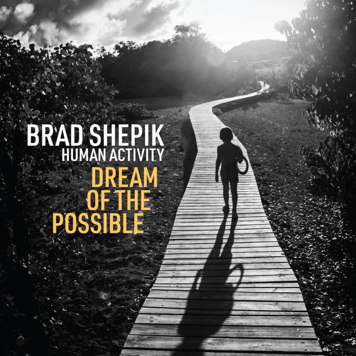 BRAD SHEPIK - HUMAN ACTIVITY DREAM OF THE POSSIBLE