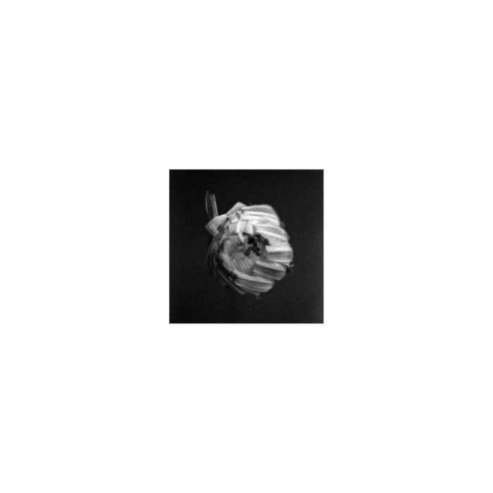 SPACE - ANTHOLOGY (DELUXE)