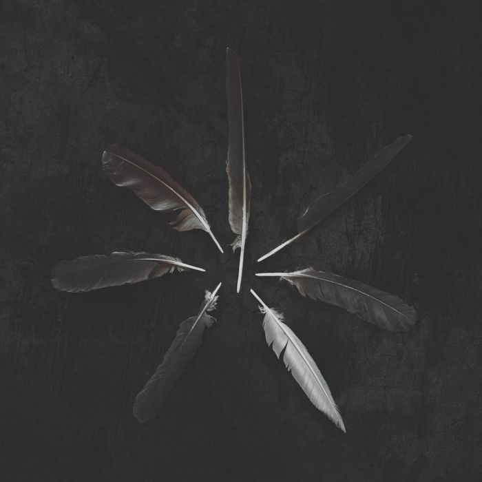 CASPIAN - DUST & DISQUIET