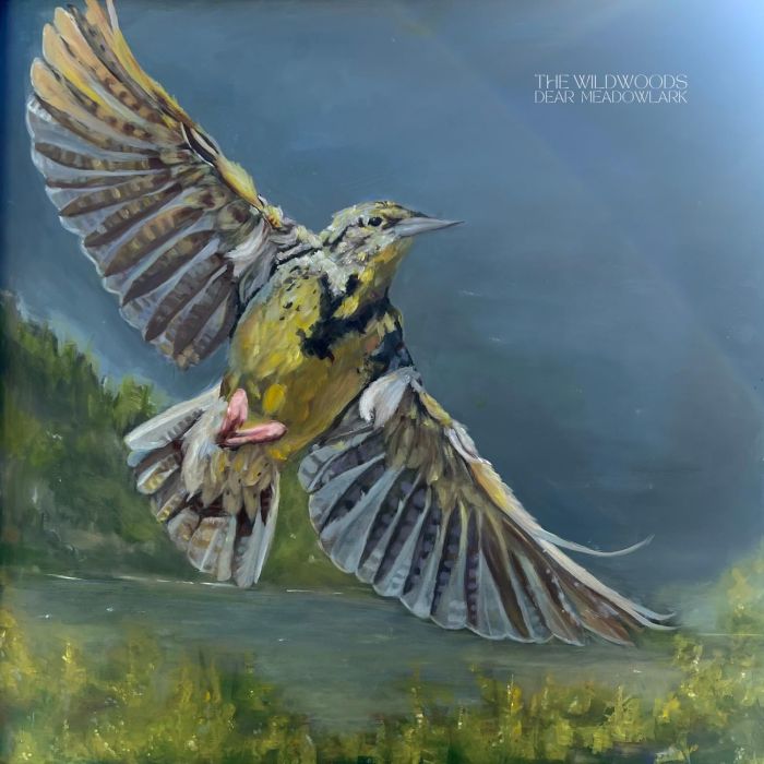 WILDWOODS - DEAR MEADOWLARK