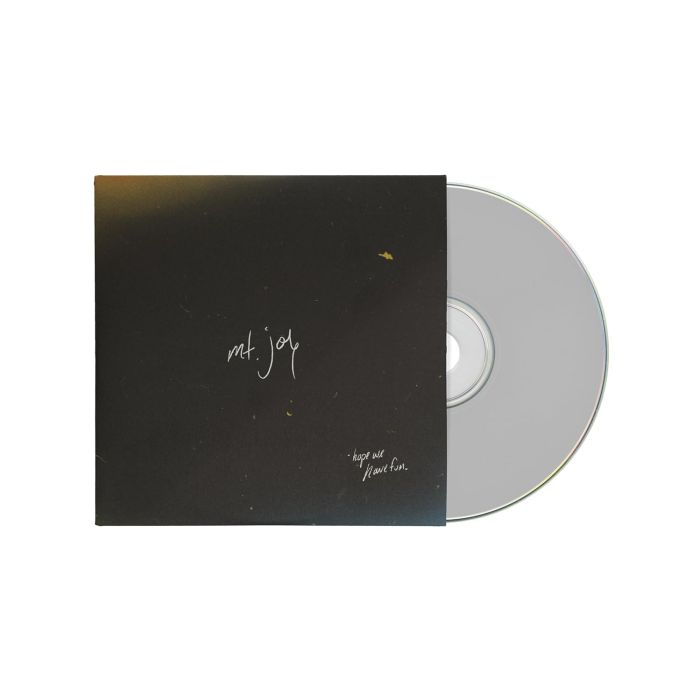MT. JOY - HOPE WE HAVE FUN