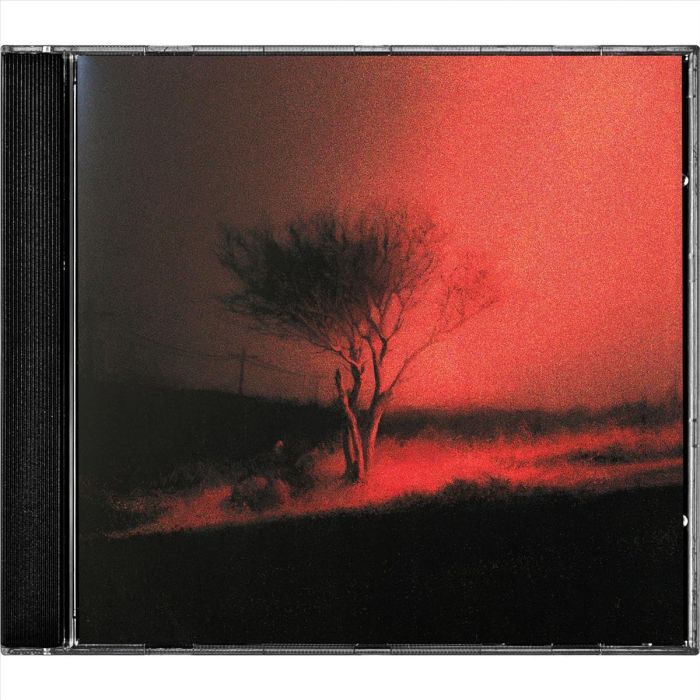 JOJI - PISS IN THE WIND