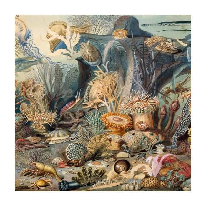 CHYPHO - EPISODES IN OCEANOGRAPHY