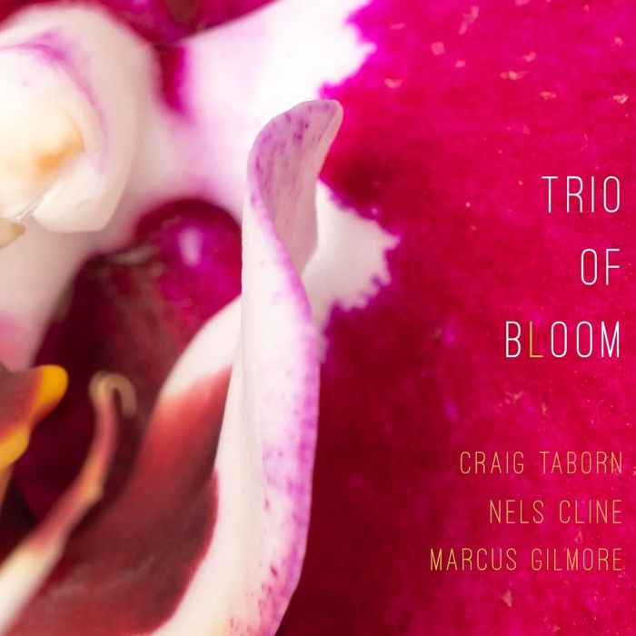 TRIO OF BLOOM - TRIO OF BLOOM