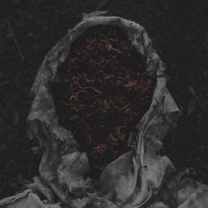 GORRCH - STILLAMENTUM