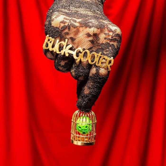 BUCK GOOTER - HEAD IN A BIRD CAGE (DL CARD)
