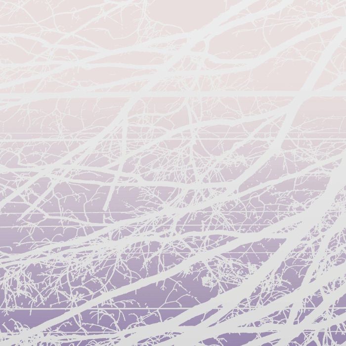 LEA BERTUCCI - METAL AETHER / RESONANT FIELD (2LP)