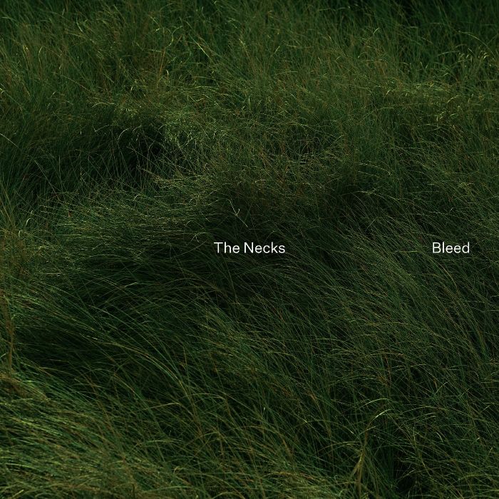 NECKS - BLEED