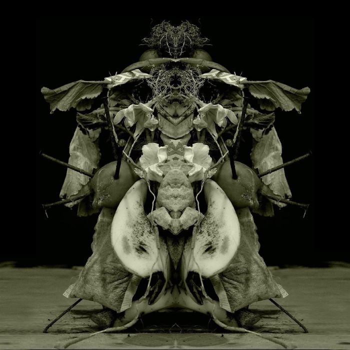 GURUN GURUN - UZU OTO