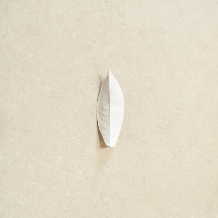 SYLVAIN CHAUVEAU - COMPLEXITY OF THE SIMPLE