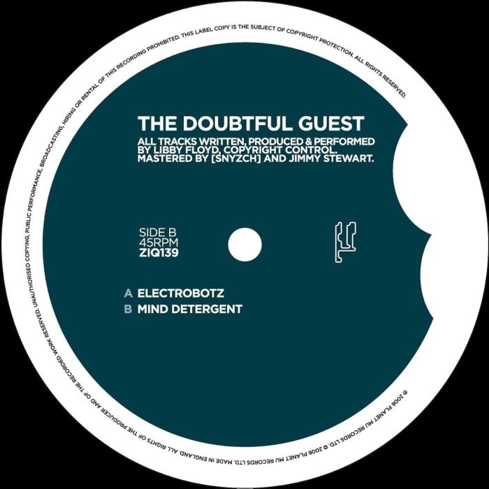 DOUBTFUL GUEST - ELECTROBOTZ