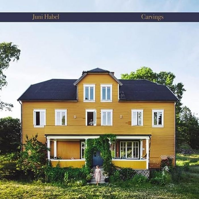 JUNI HABEL - CARVINGS