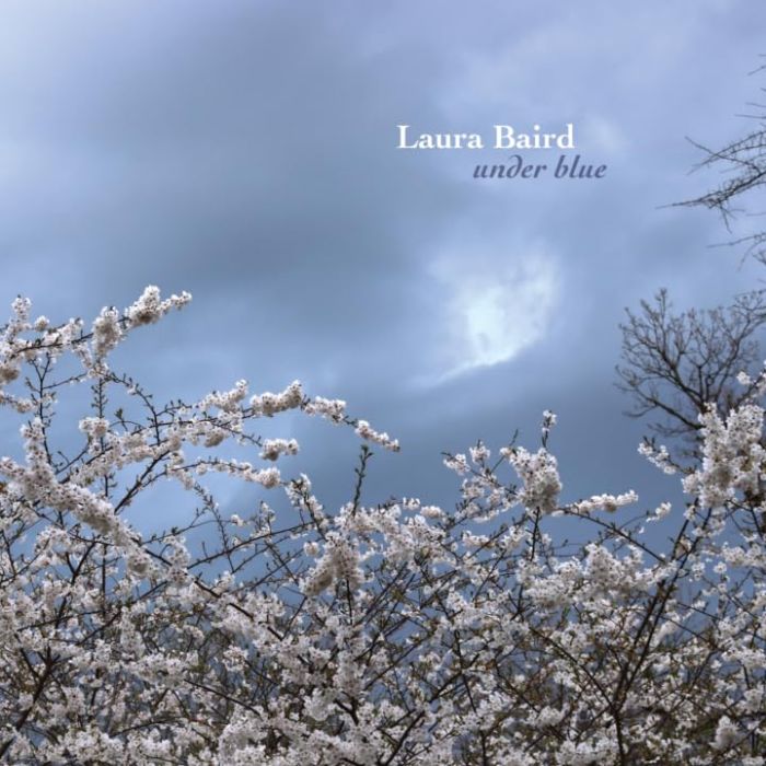 LAURA BAIRD - UNDER BLUE