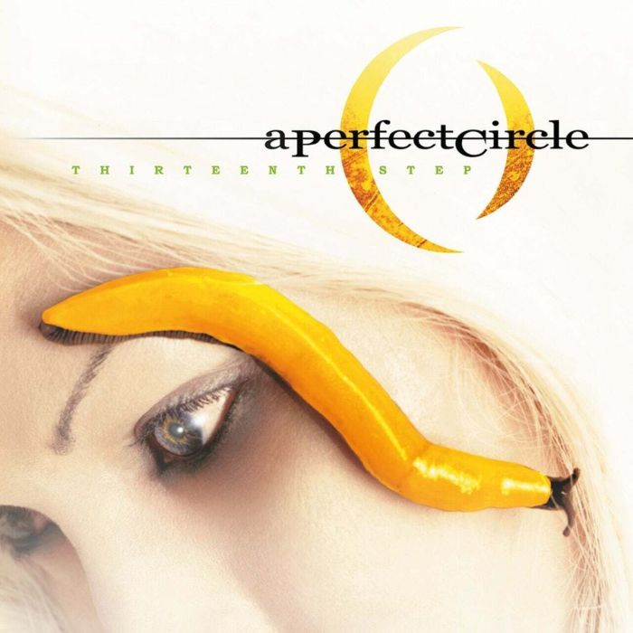 PERFECT CIRCLE - THIRTEENTH STEP (180G)