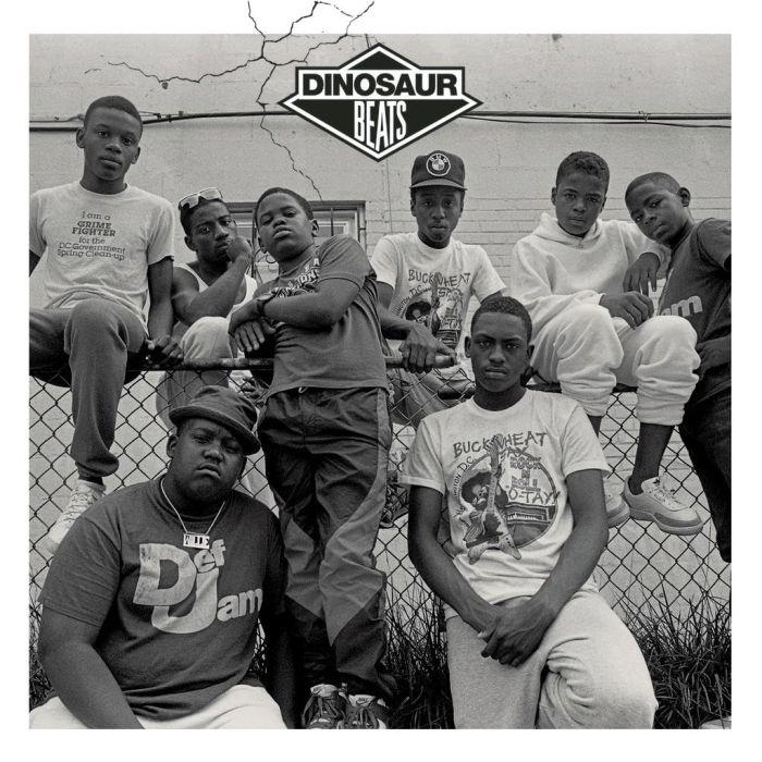 VARIOUS ARTISTS - DINOSAUR BEATS