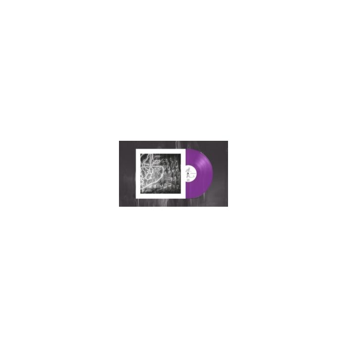 FUJI TA - MMMM (PURPLE VINYL)