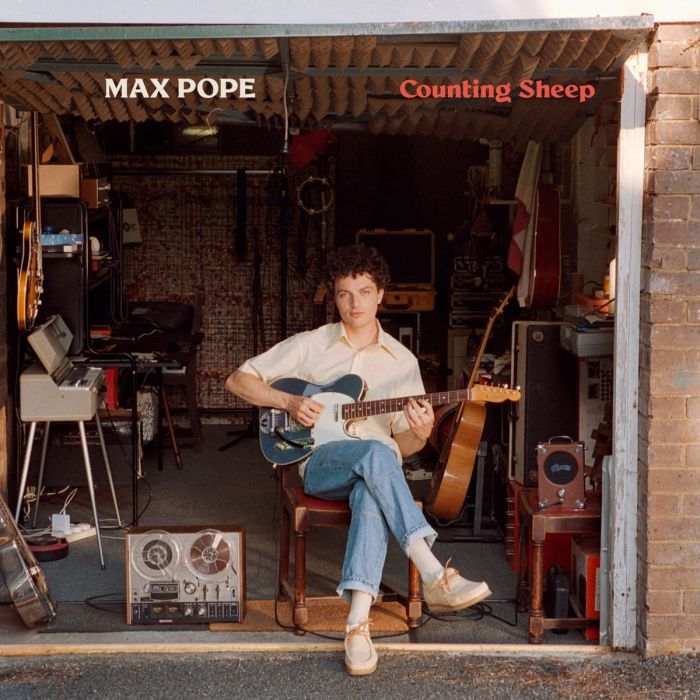 MAX POPE - COUNTING SHEEP