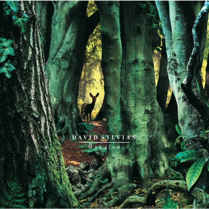 DAVID SYLVIAN Manafon (180g 2xLP)