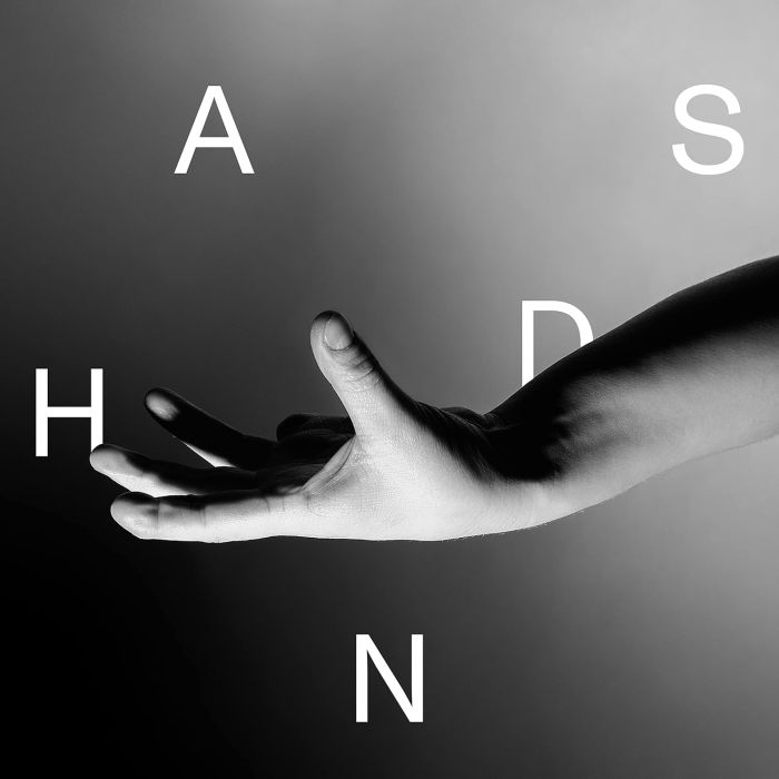 WALLIS BIRD - HANDS
