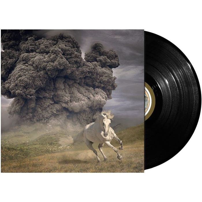 WHITE BUFFALO - YEAR OF THE DARK HORSE