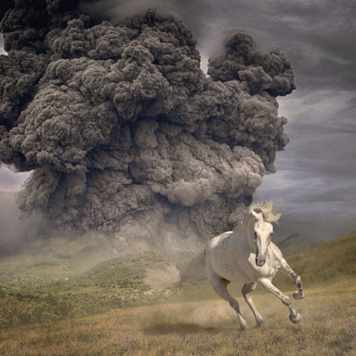 WHITE BUFFALO - YEAR OF THE DARK HORSE