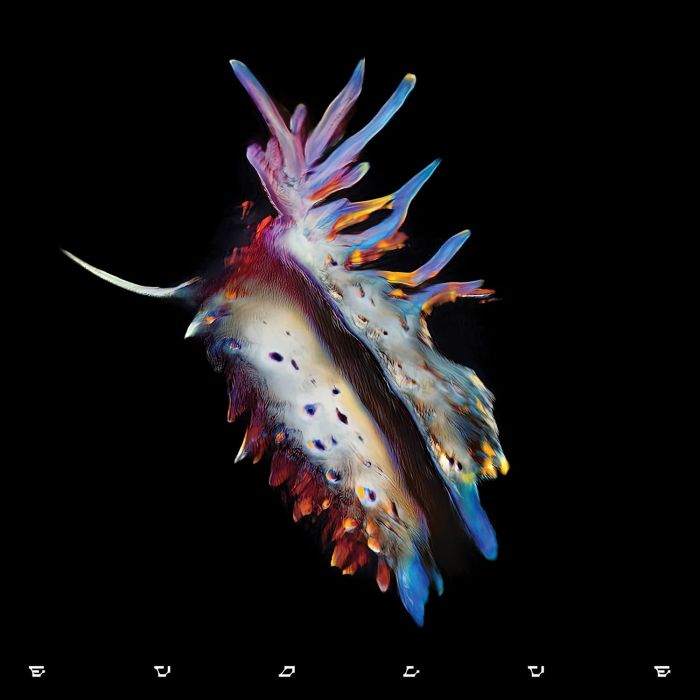 SUB FOCUS - EVOLVE