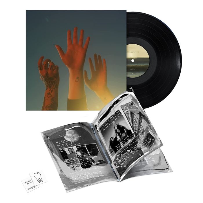 BOYGENIUS - RECORD