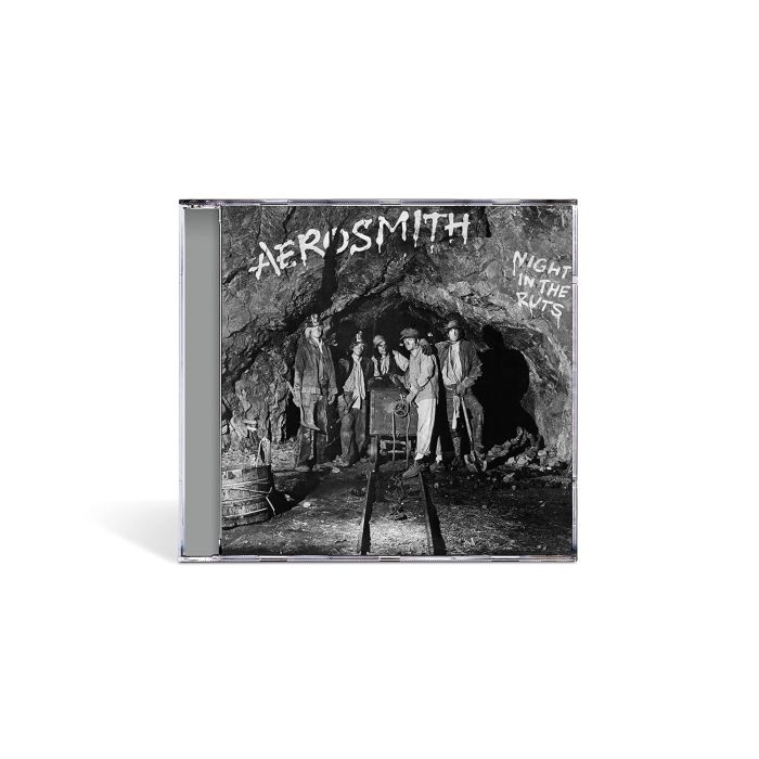 AEROSMITH - NIGHT IN THE RUTS
