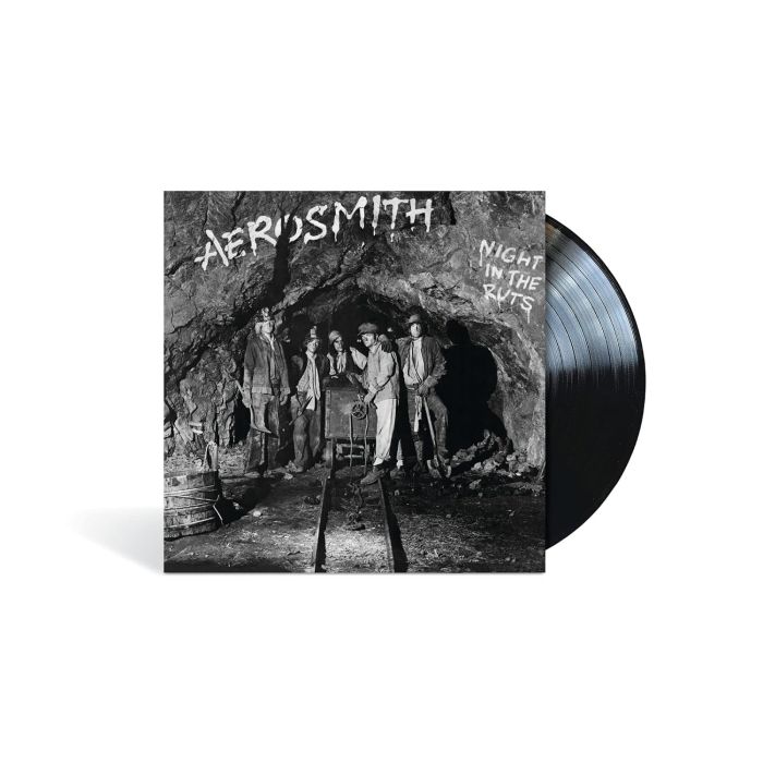 Aerosmith - Night In The Ruts