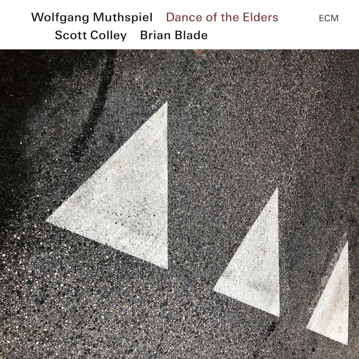 MUTHSPIEL,WOLFGANG; SCOTT COLLEY & BRIAN BLADE - DANCE OF THE ELDERS