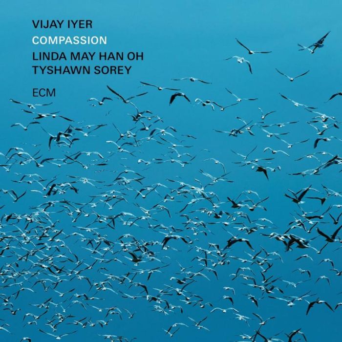 Vijay Iyer/Linda May Han Oh/Tyshawn Sorey - Linda May Han Oh/Tyshawn Sorey / Compassion