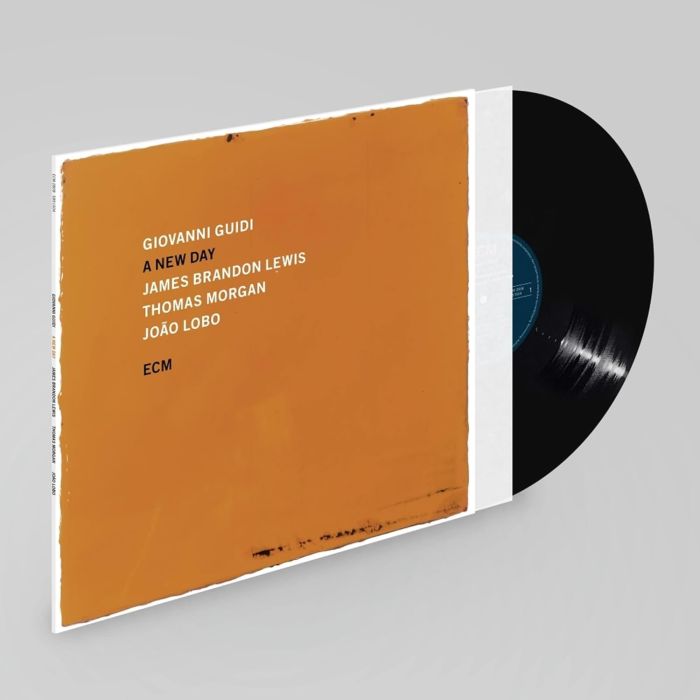 GUIDI,GIOVANNI; JAMES BRANDON LEWIS; THOMAS MORGAN & JOAO LOBO - NEW DAY