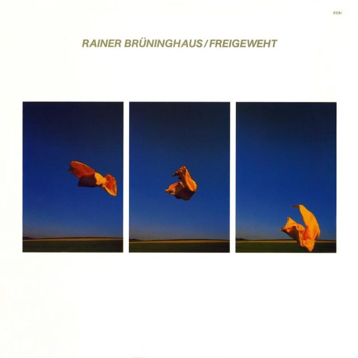 Rainer Bruninghaus - Freigeweht