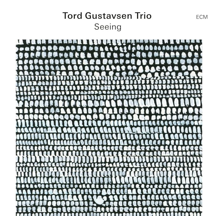 TORD TRIO GUSTAVSEN - SEEING