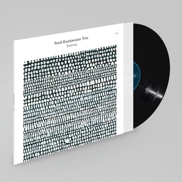 TORD TRIO GUSTAVSEN - SEEING