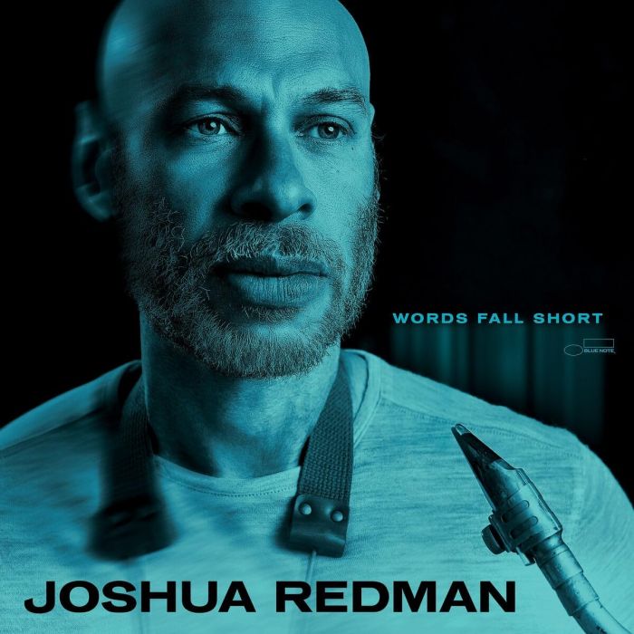 JOSHUA REDMAN - WORDS FALL SHORT