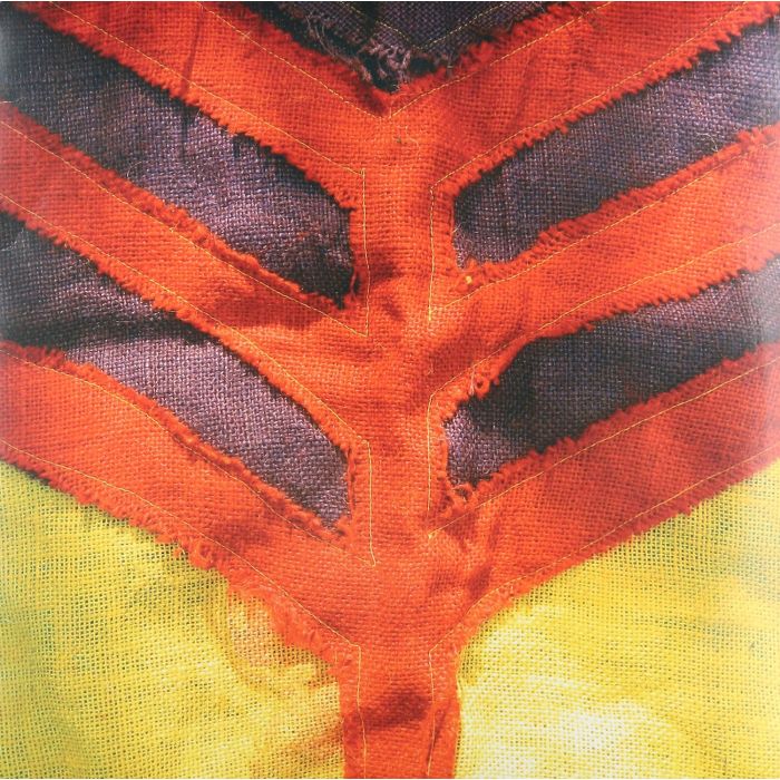 YEAH YEAH YEAHS - SHOW YOUR BONES