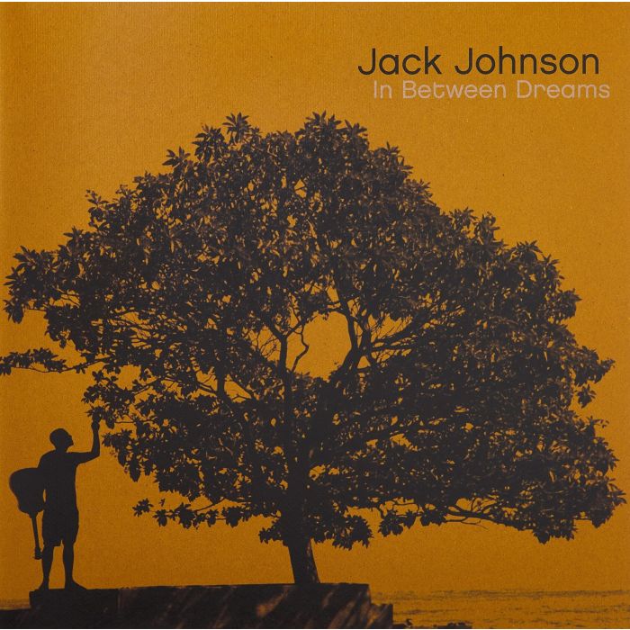 Jack Johnson - In Between Dreams
