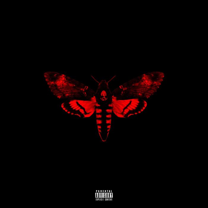 LIL WAYNE - I AM NOT A II(EX-DLX