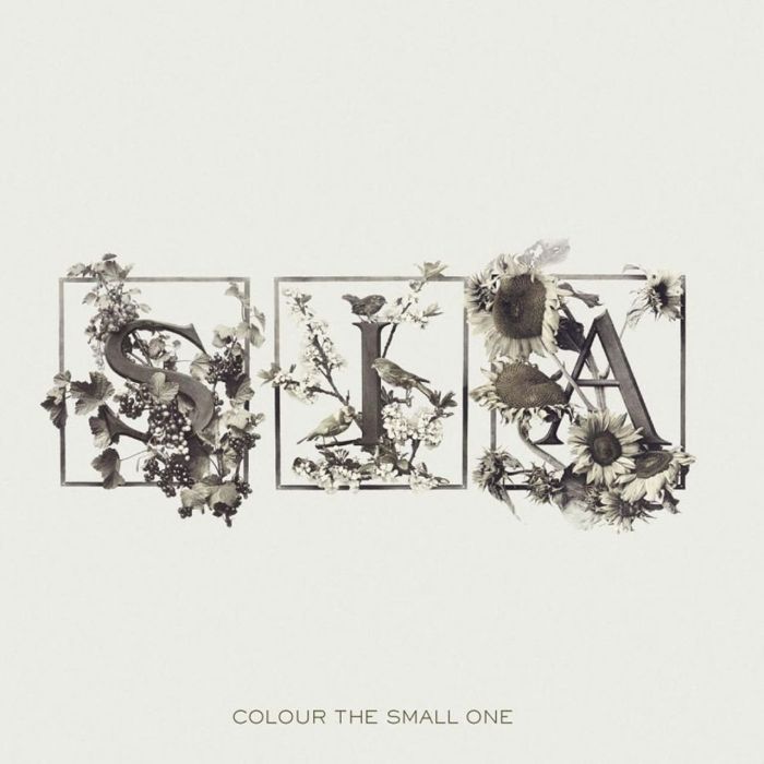 SIA - COLOUR THE SMALL ONE
