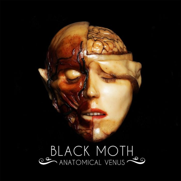 BLACK MOTH - ANATOMICAL VENUS