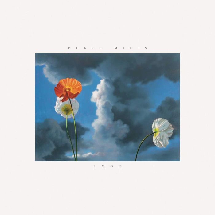 BLAKE MILLS - LOOK
