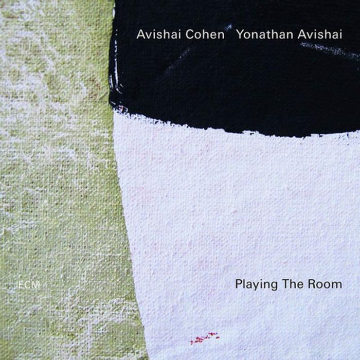 Avishai Cohen and Yonathan Avishai - Playing The Room
