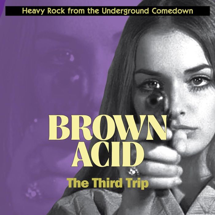 VARIOUS ARTISTS - BROWN ACID: THE THIRD TRIP