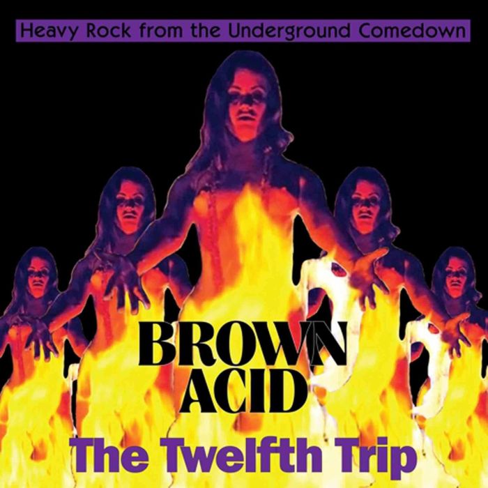 VARIOUS ARTISTS - BROWN ACID: THE TWELFTH TRIP