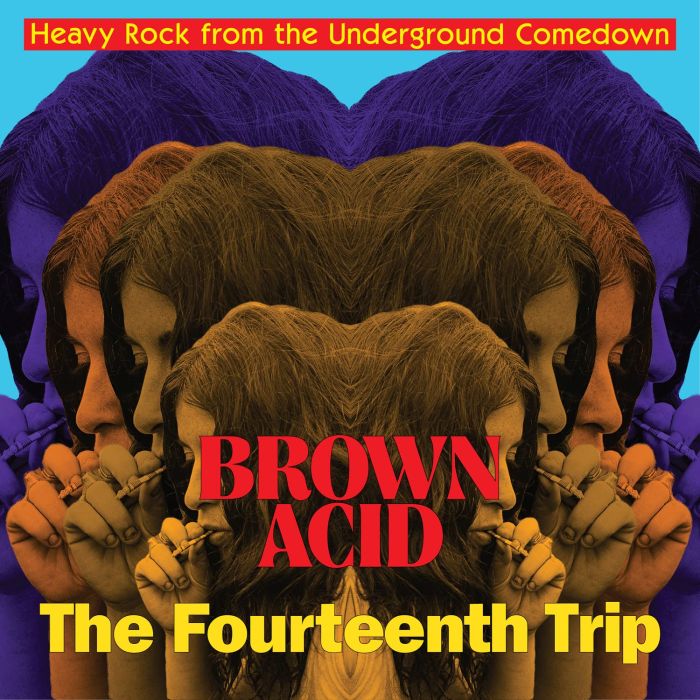 VARIOUS ARTISTS - BROWN ACID: THE FOURTEENTH TRIP