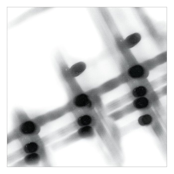 GREGOR SAMSA - 40:13.5
