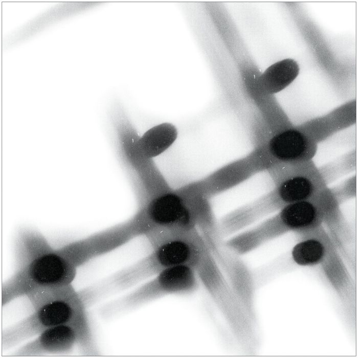 GREGOR SAMSA - 40:13.5